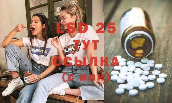 сатива Медногорск